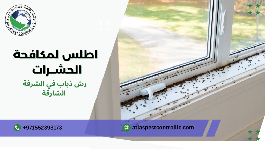 استراتيجيات رش ذباب في الشرفة الشارقة