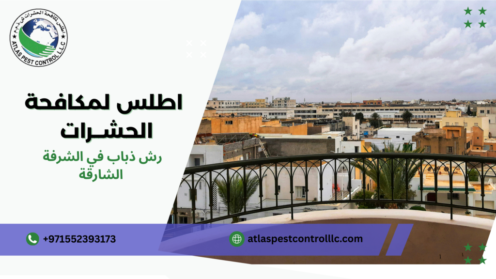 دليل شامل لاختيار أفضل شركة رش ذباب في الشرفة الشارقة