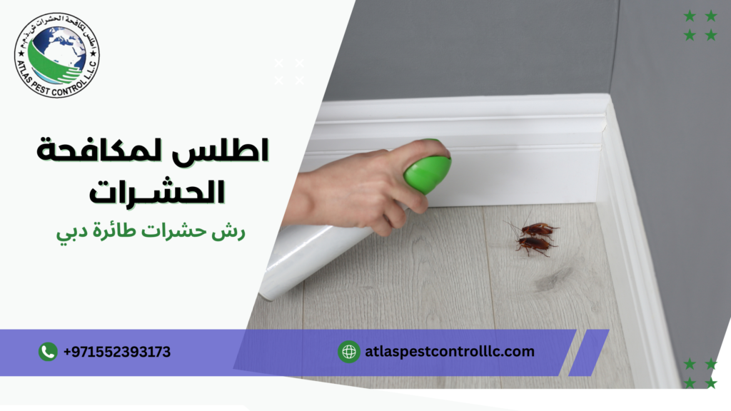 رش حشرات طائرة دبي