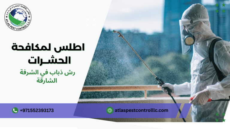 رش ذباب في الشرفة الشارقة