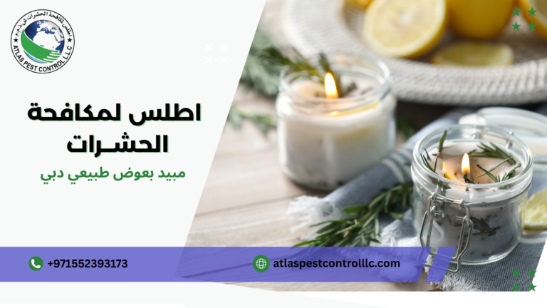 صيانة الوقاية المستمرة دبي