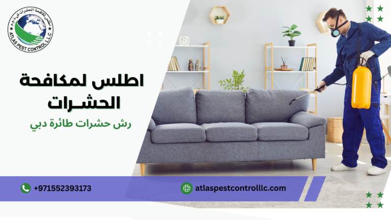 رش حشرات طائرة دبي