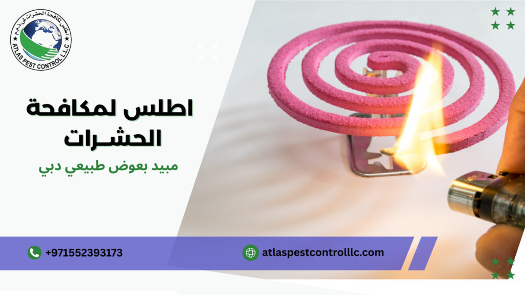 البعوض وسلوكه دبي