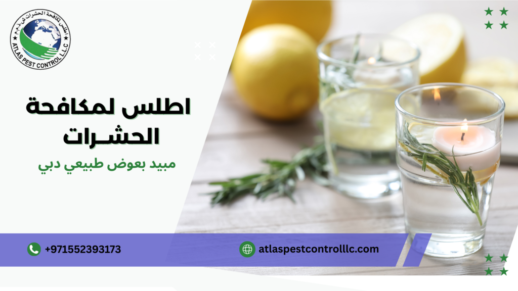 الطرق الطبيعية لمنع تكاثر البعوض