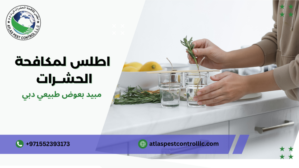 مزايا المبيدات الطبيعية على الكيميائية دبي