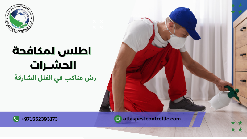 الفرق بين الرش الوقائي والرش العلاجي الشارقة