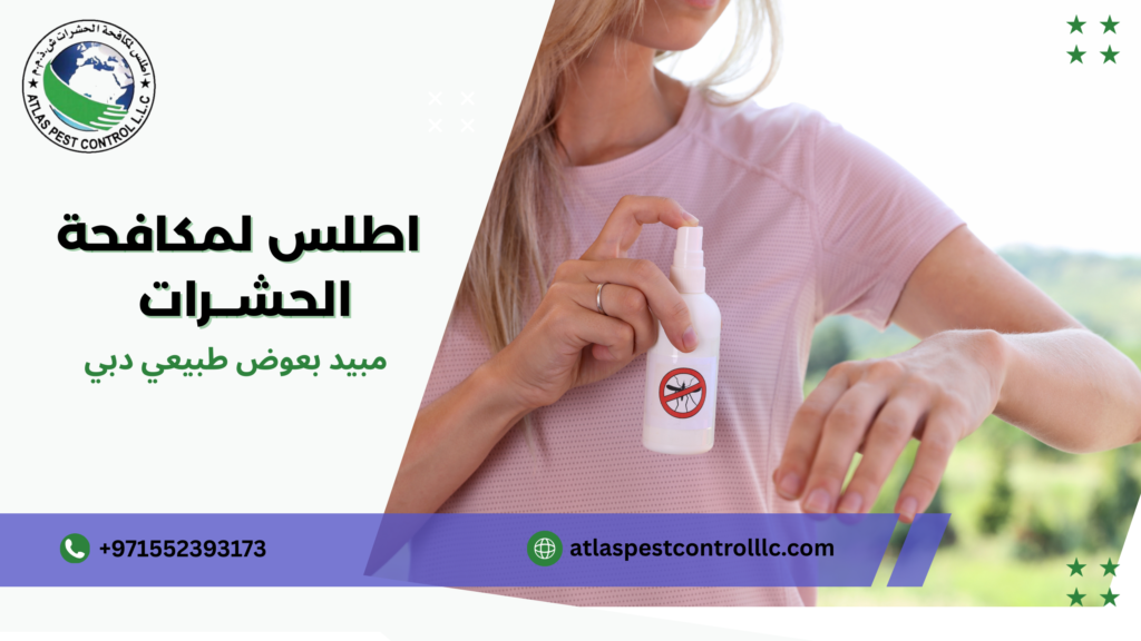 صيانة الوقاية المستمرة دبي