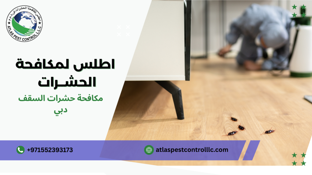 مكافحة الحشرات في المباني التجارية
