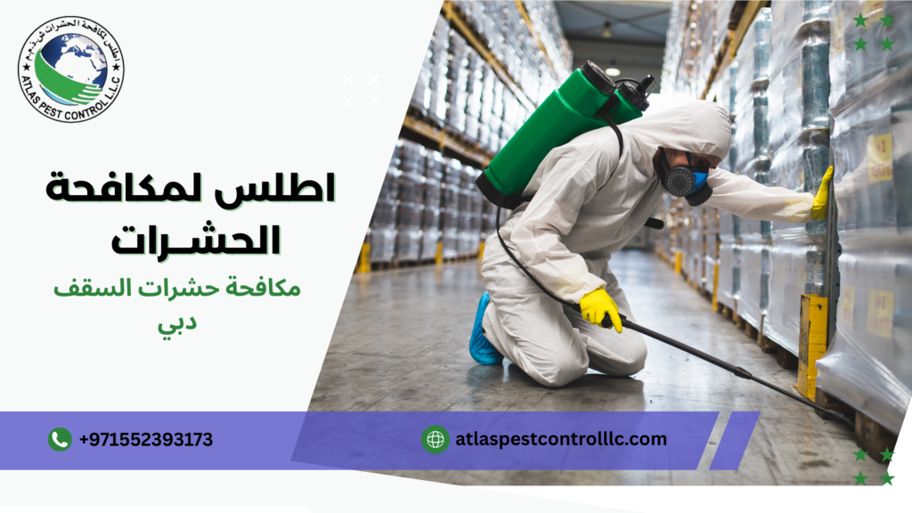 مكافحة الحشرات بعد البناء أو الترميم