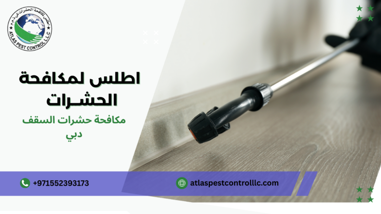 مكافحة حشرات السقف دبي