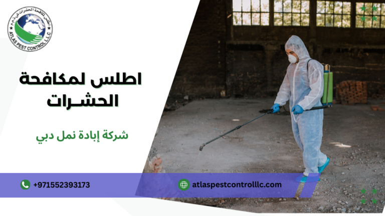 شركة إبادة نمل دبي