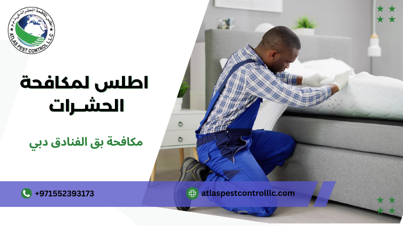 خطوات مكافحة بق الفنادق دبي
