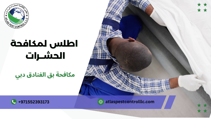 نصائح مكافحة بق الفنادق دبي