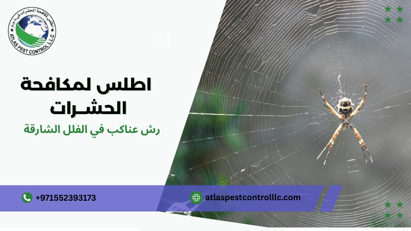 الرش الدوري وأهميته الشارقة