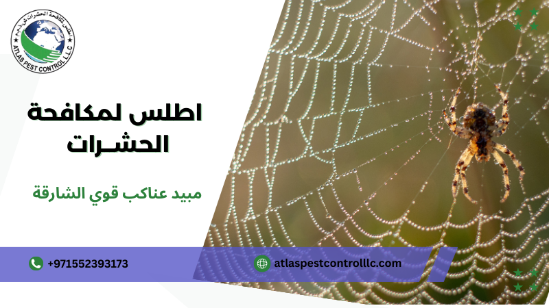 مزايا مبيد عناكب قوي الشارقة