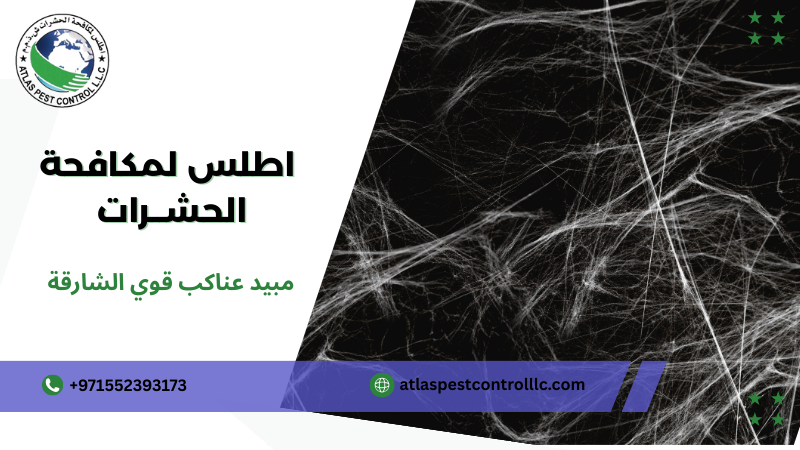 مبيد عناكب قوي الشارقة