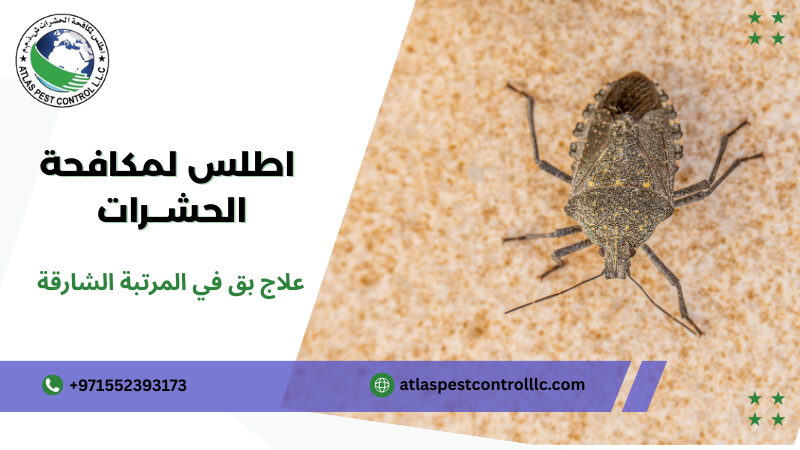 علاج بق في المرتبة الشارقة