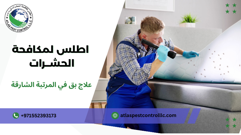 خطوات علاج بق في المرتبة الشارقة