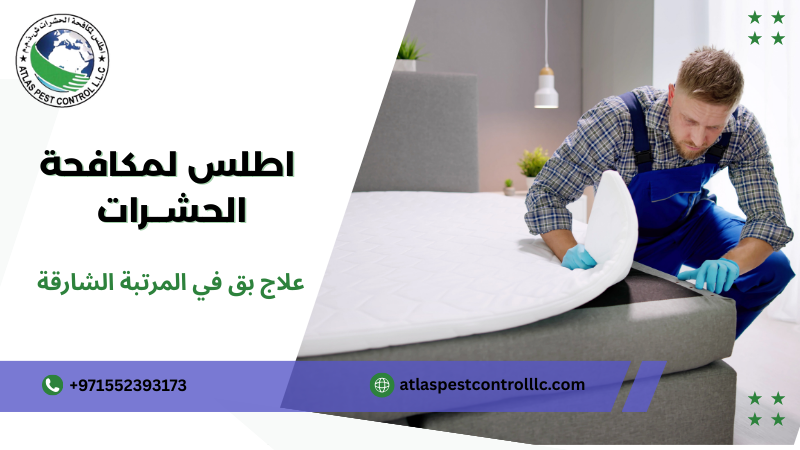 نصائح للوقاية من بق الفراش بعد العلاج