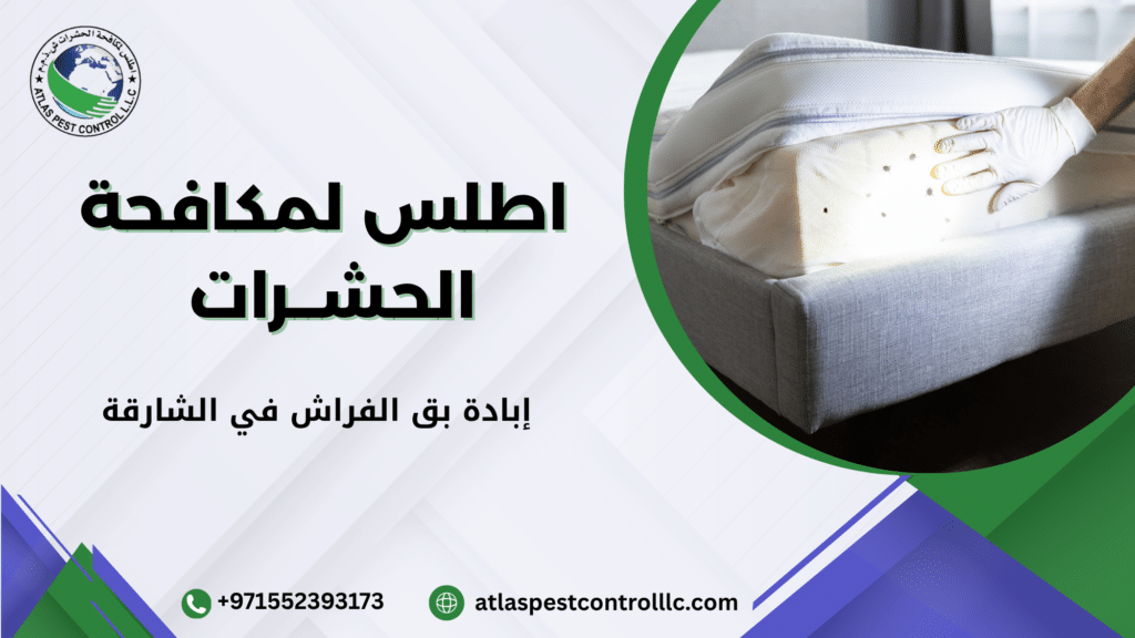 أحدث أساليب إبادة بق الفراش في الشارقة