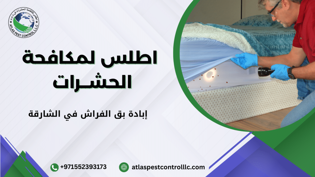 إبادة بق الفراش في الشارقة