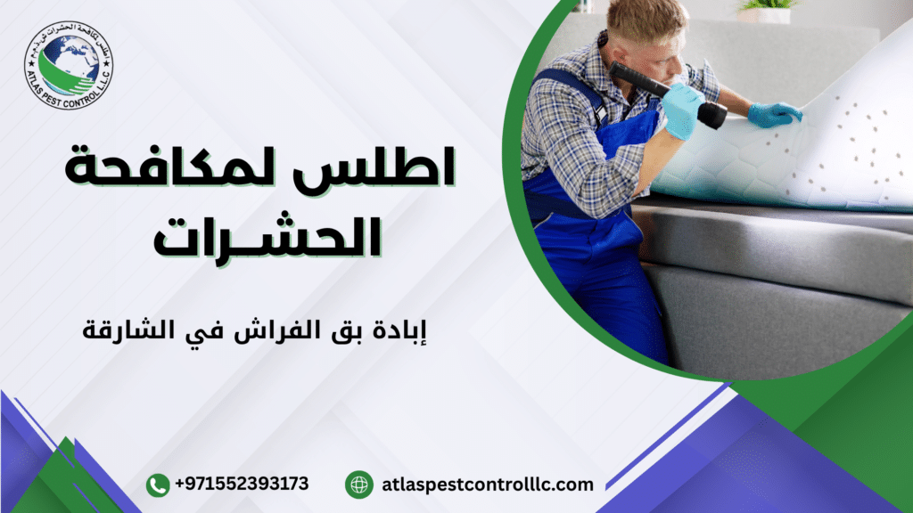 مزايا إبادة بق الفراش في الشارقة