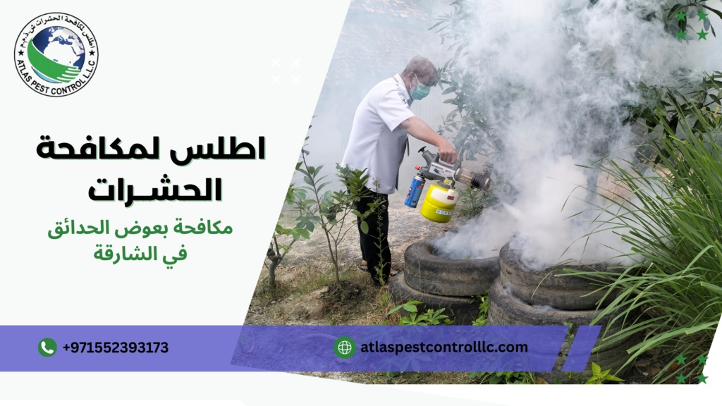 مكافحة بعوض الحدائق في الشارقة