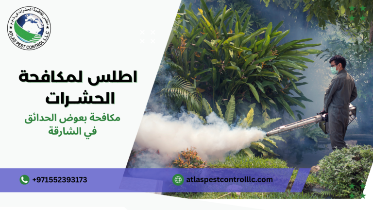 مكافحة بعوض الحدائق في الشارقة