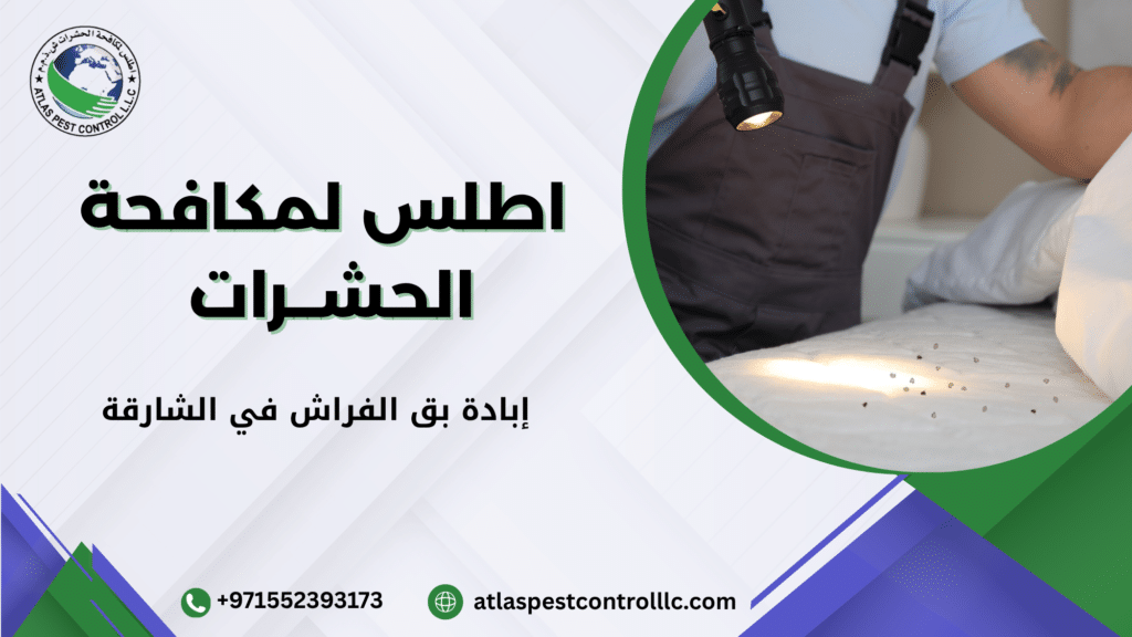 إبادة بق الفراش في الشارقة