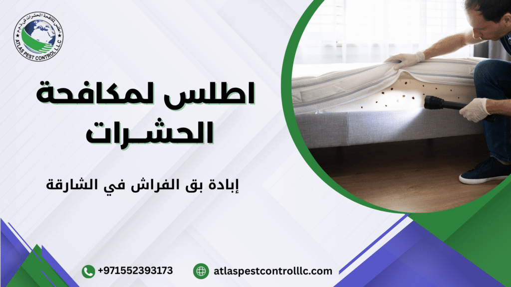 إبادة بق الفراش في الشارقة