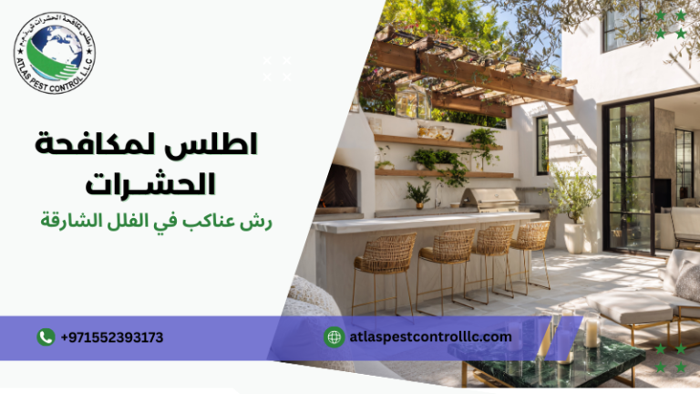 رش عناكب في الفلل الشارقة