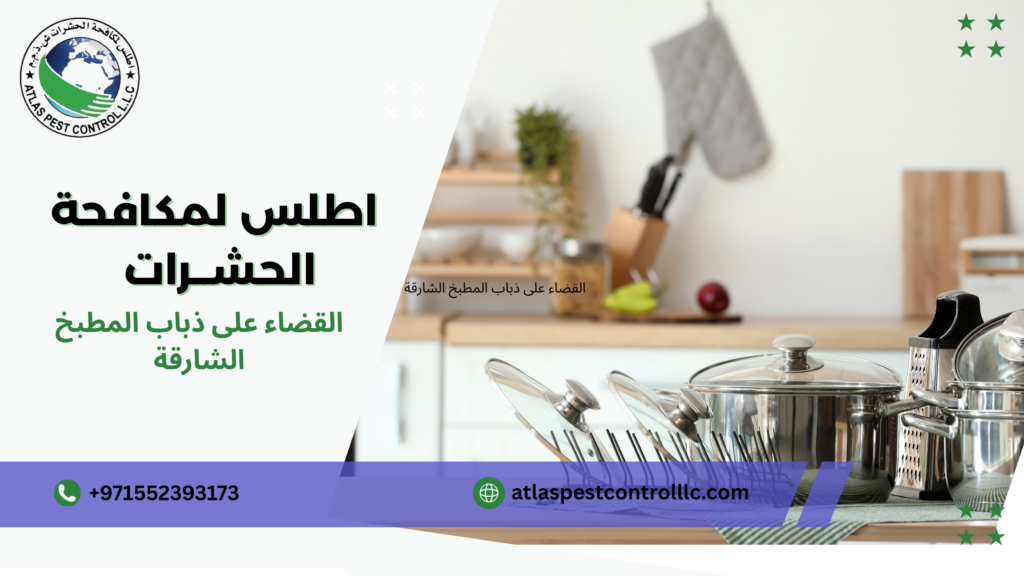 القضاء على ذباب المطبخ الشارقة