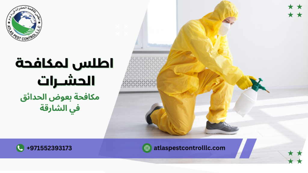 كيفية اختيار أفضل شركة لمكافحة بعوض الحدائق الشارقة