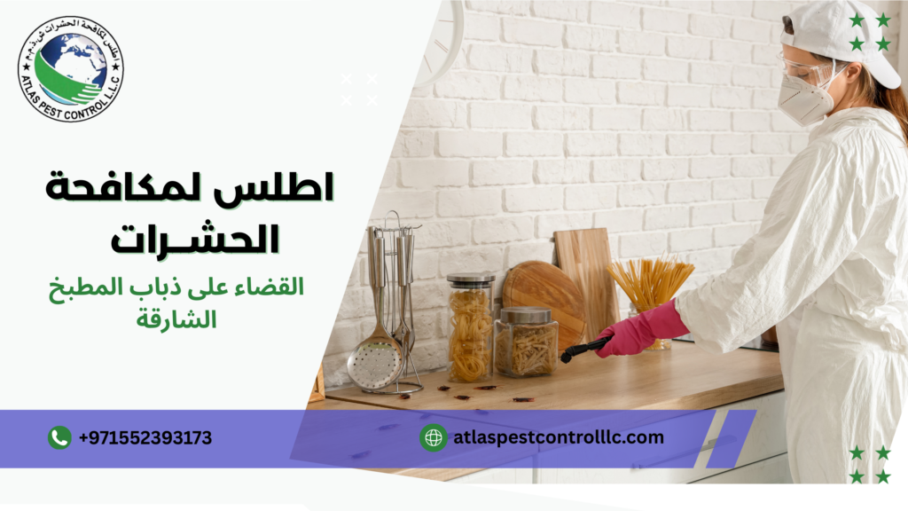 القضاء على ذباب المطبخ الشارقة في المنازل