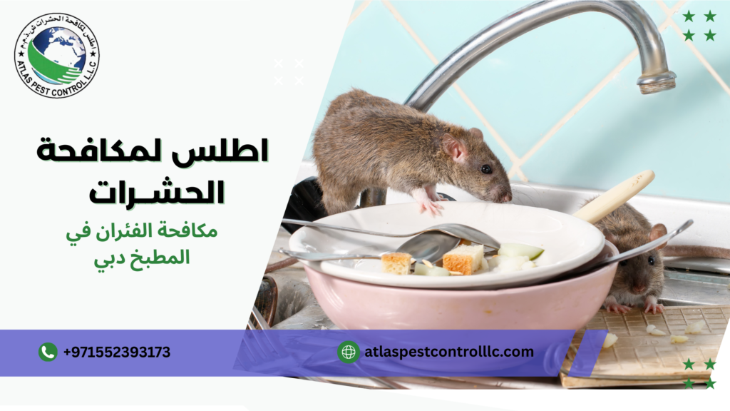 طرق المكافحة الحديثة دبي