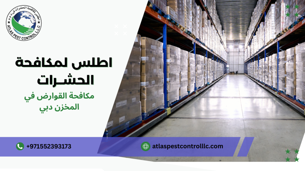 أنواع وأساليب مكافحة القوارض وطرق تطبيقها بفعالية