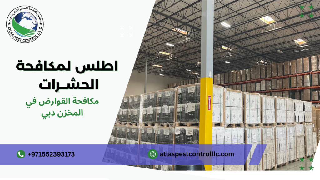 مكافحة القوارض في المخزن دبي