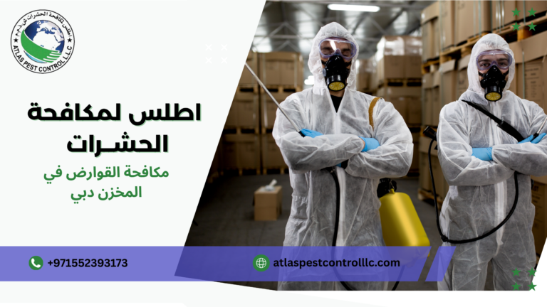 لماذا الاعتماد على حلول احترافية لمكافحة القوارض أفضل من الحلول المؤقتة