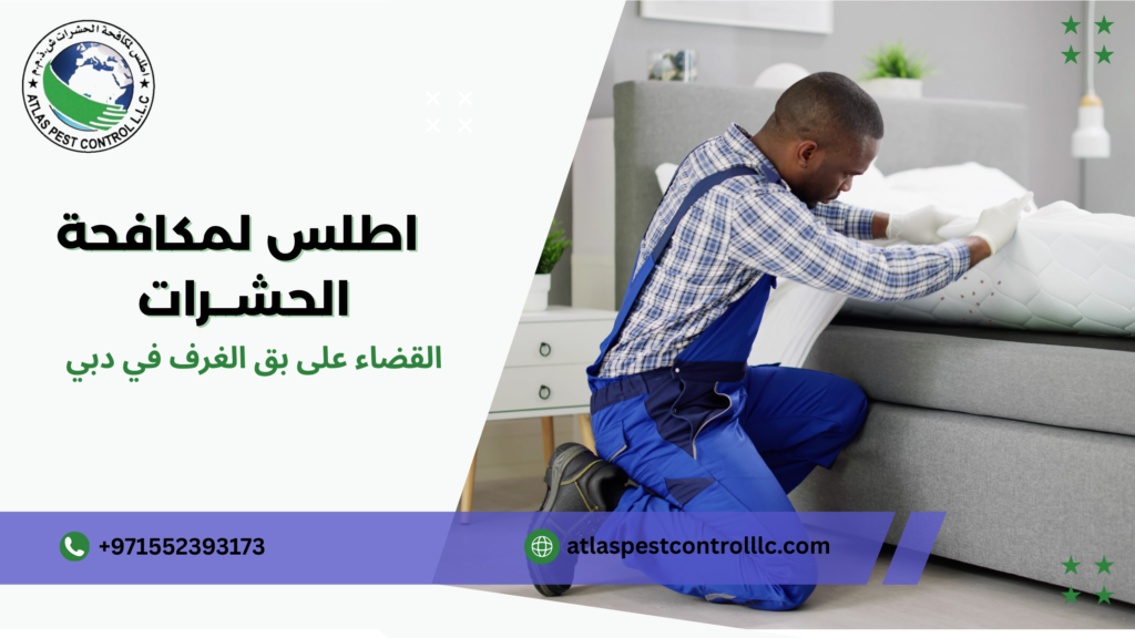 استخدام المبيدات الحشرية المناسبة في دبي