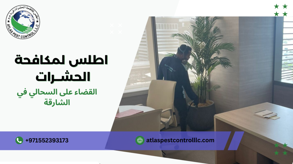 نصائح عملية قبل وبعد التنفيذ