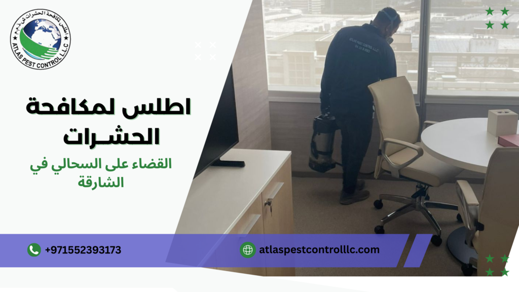 الأخطاء الشائعة التي يقع فيها المستخدمون