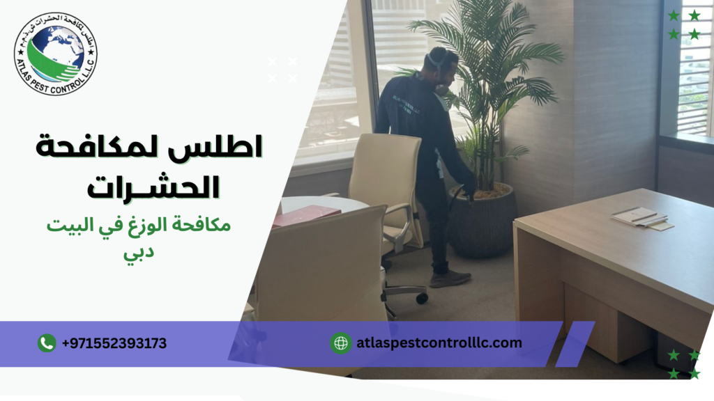 الأخطاء الشائعة التي يقع فيها المستخدمون