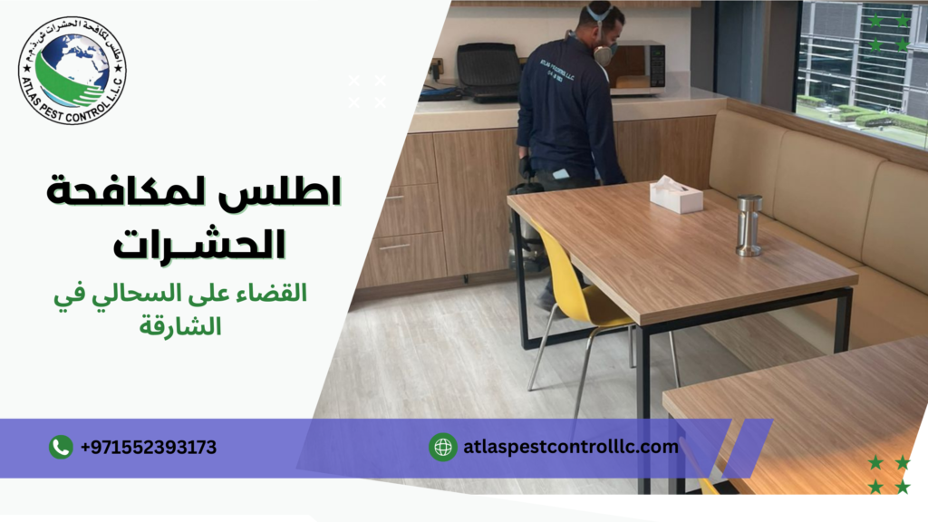 أنواع وأساليب القضاء على السحالي في الشارقة