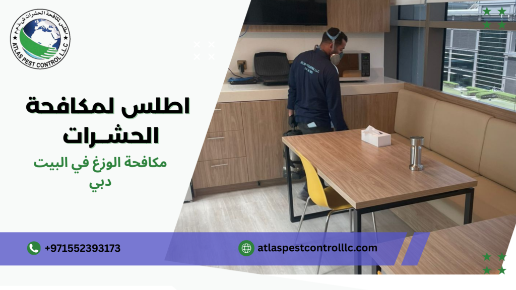 أنواع وأساليب مكافحة الوزغ في البيت دبي