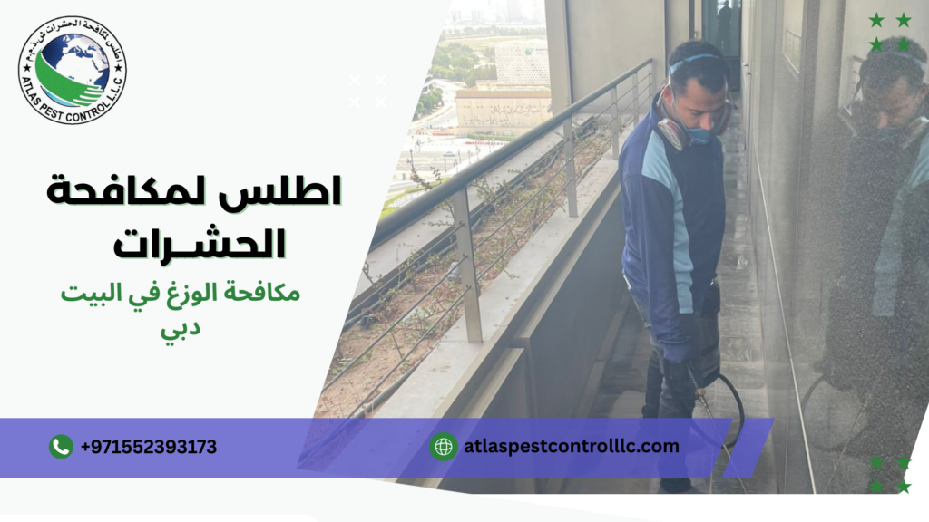 مكافحة الوزغ في المنزل دبي فهم الضرر والحاجة للحل