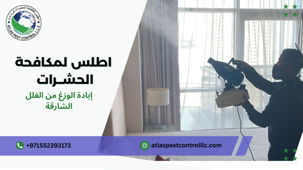 أنواع وأساليب إبادة الوزغ في الفلل والمنازل