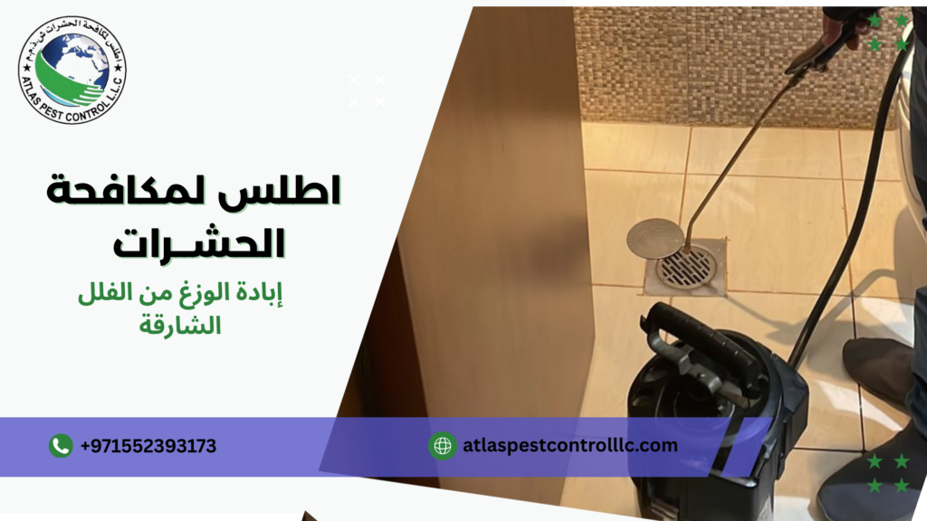 نصائح عملية قبل وبعد التنفيذ