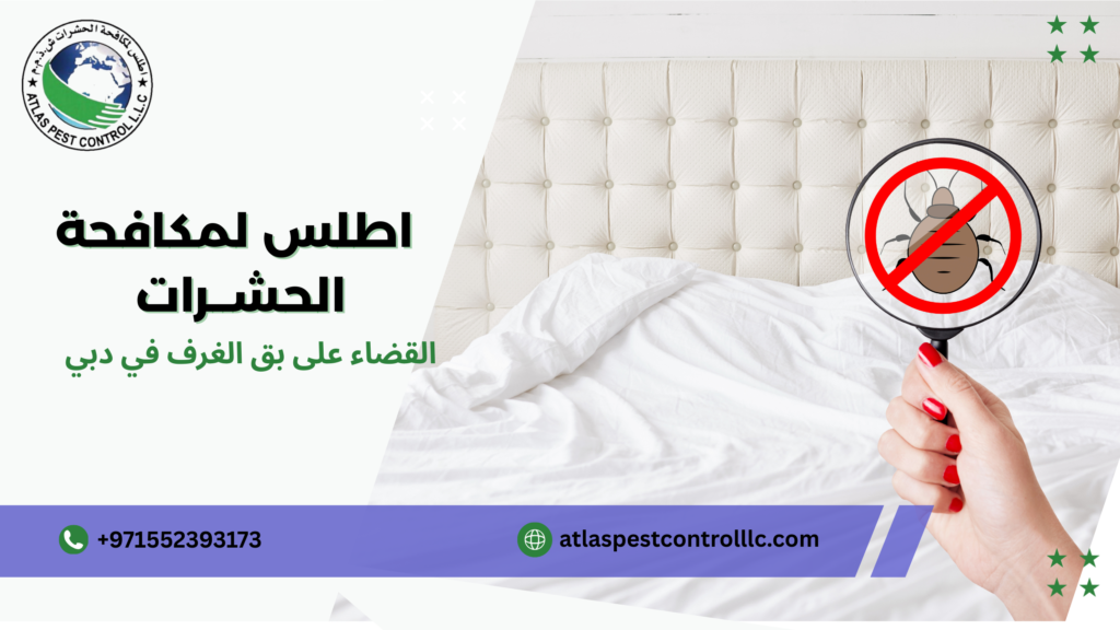 التطورات الحديثة في مكافحة بق الغرف في دبي