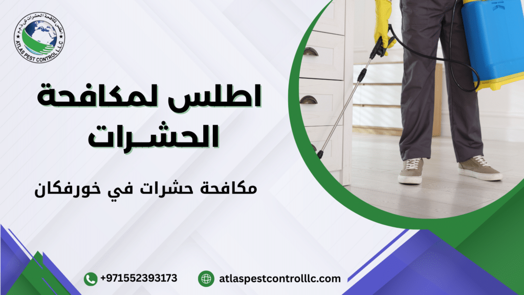 مكافحة حشرات في خورفكان