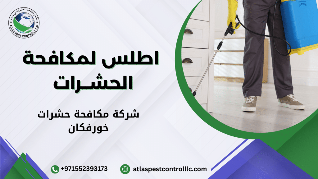 شركة مكافحة حشرات خورفكان